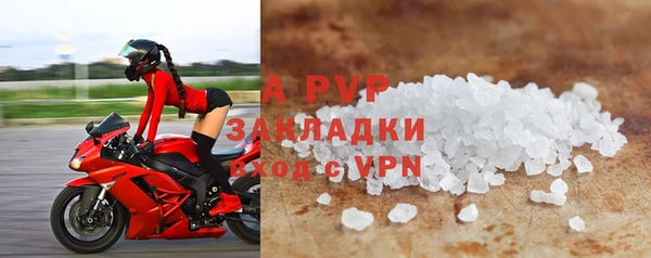 трава Карпинск