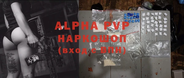 трава Карпинск