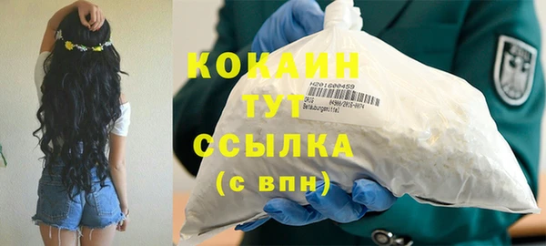 трава Карпинск