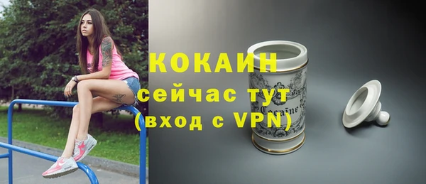 трава Карпинск