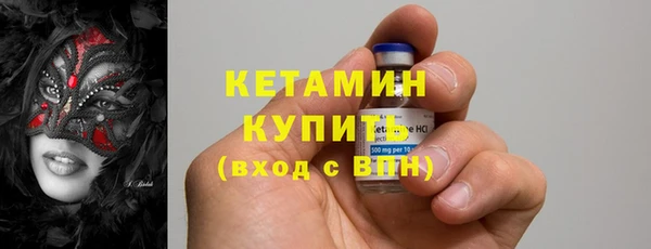 трава Карпинск