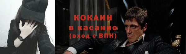 трава Карпинск