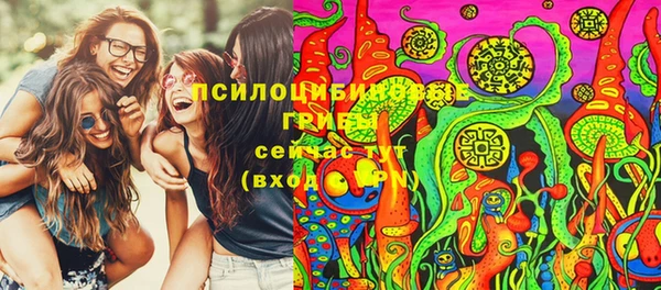 mdpv Касимов