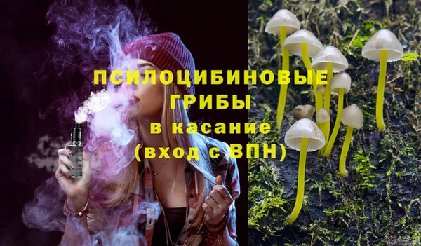 шишки Карталы